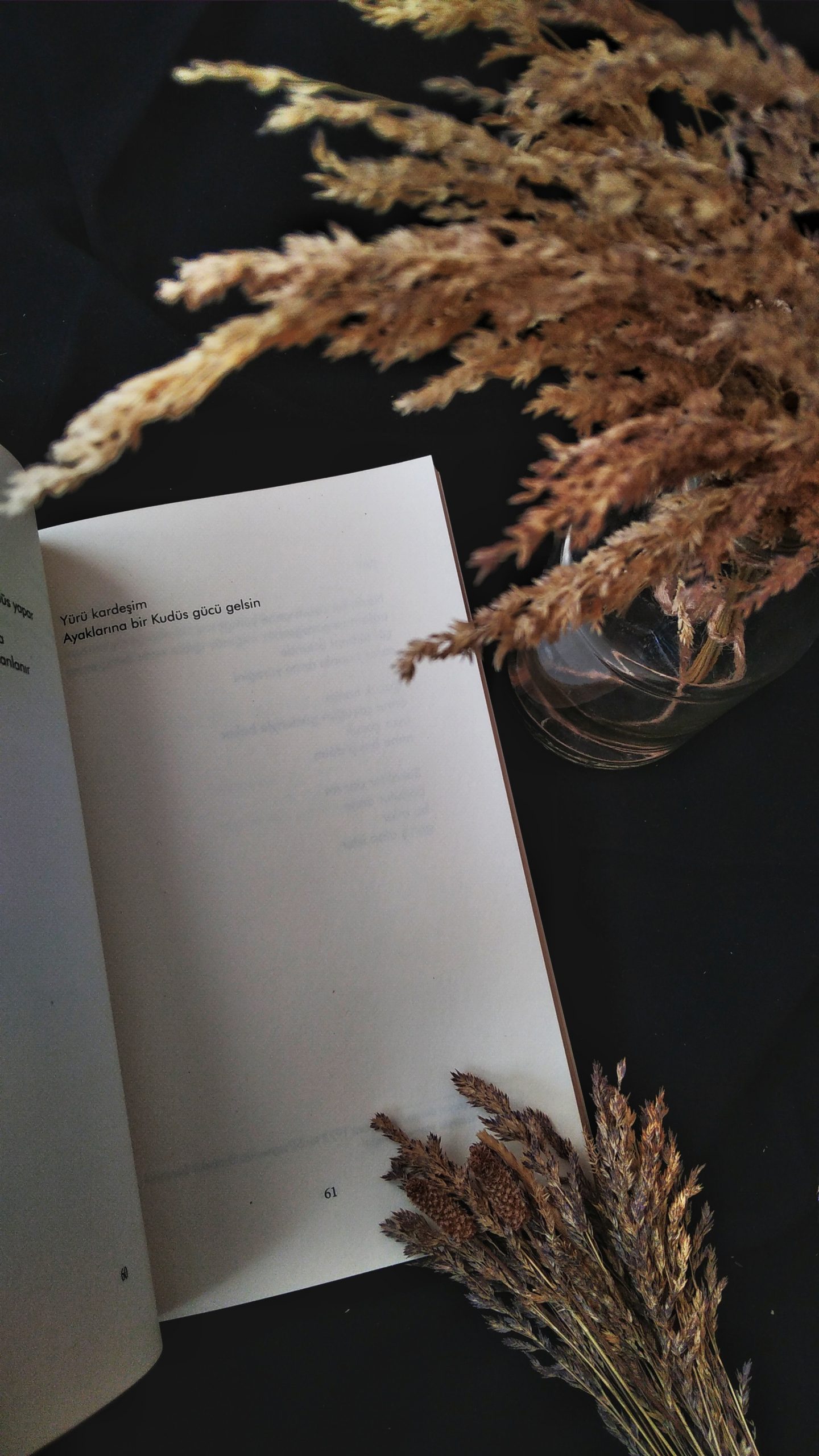 Libro de poesía