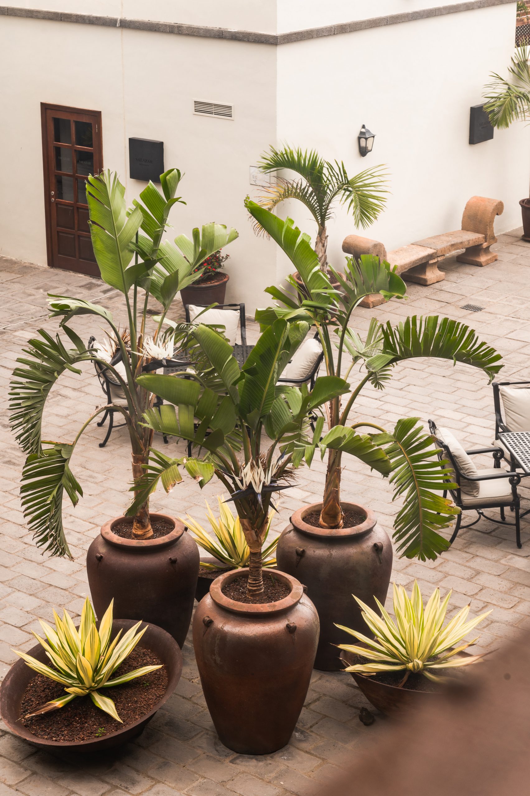 Hotel Hacienda del Conde