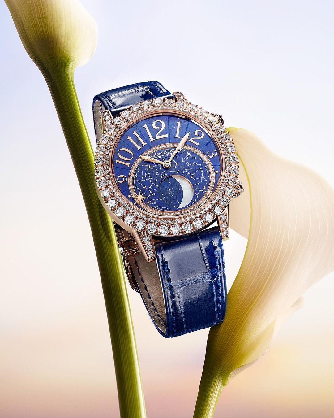 relojes color