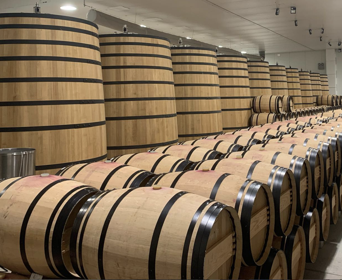 Bodega Peter Sisseck.