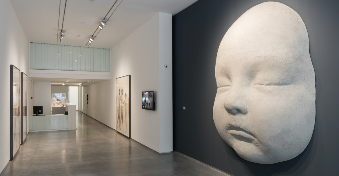 Galer&iacute;a Malborough.