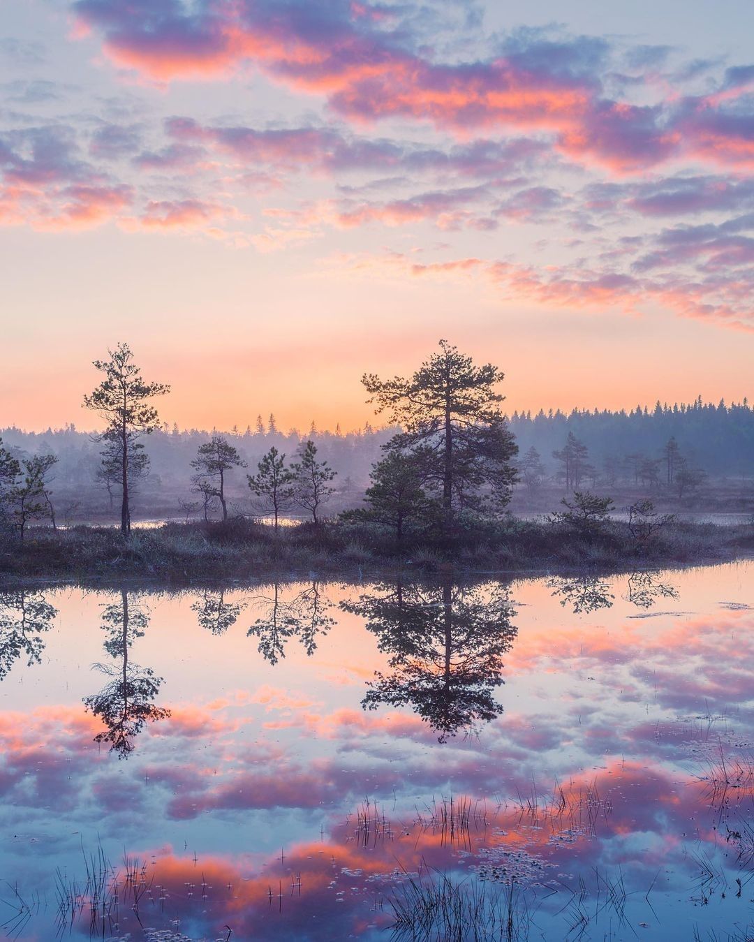 Naturaleza