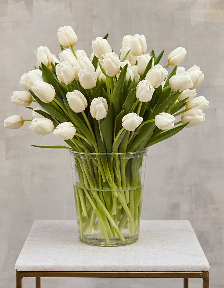 Tulipán blanco