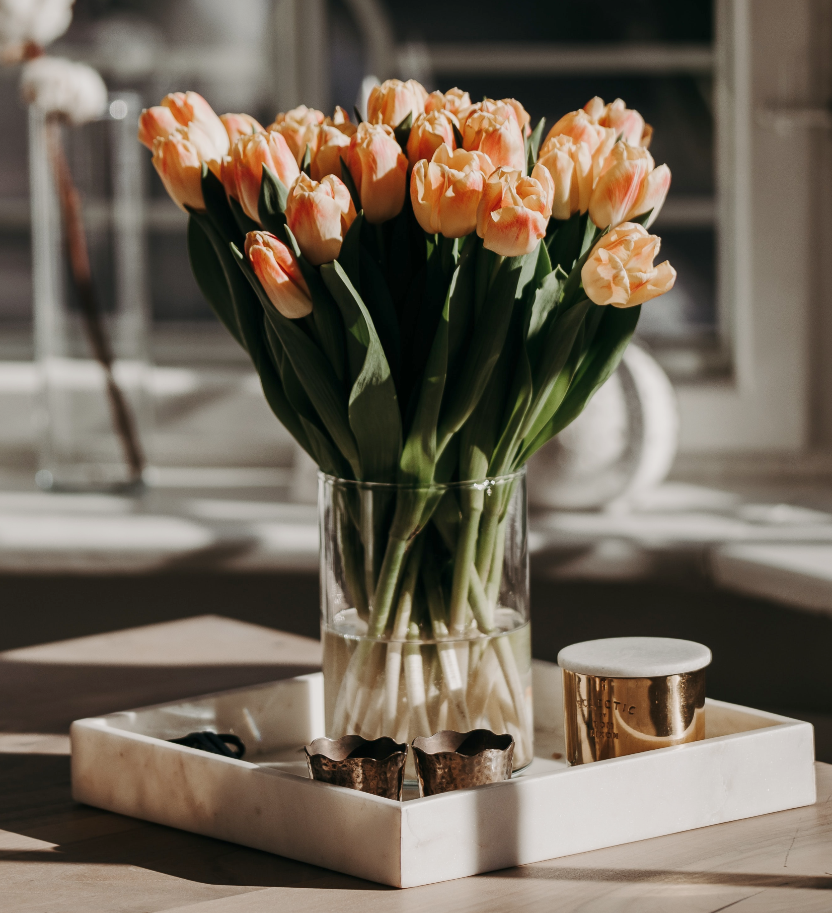 Tulipanes
