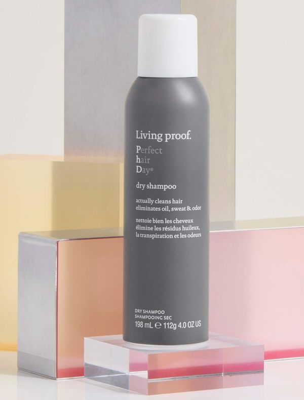 &lsquo;Perfect hair Day Dry Shampoo&rsquo;