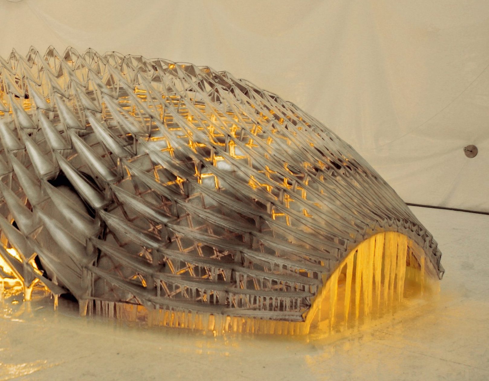 BMW Art Cars