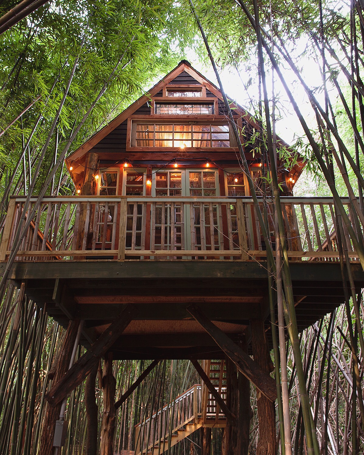 Atlanta Alpaca Tree House