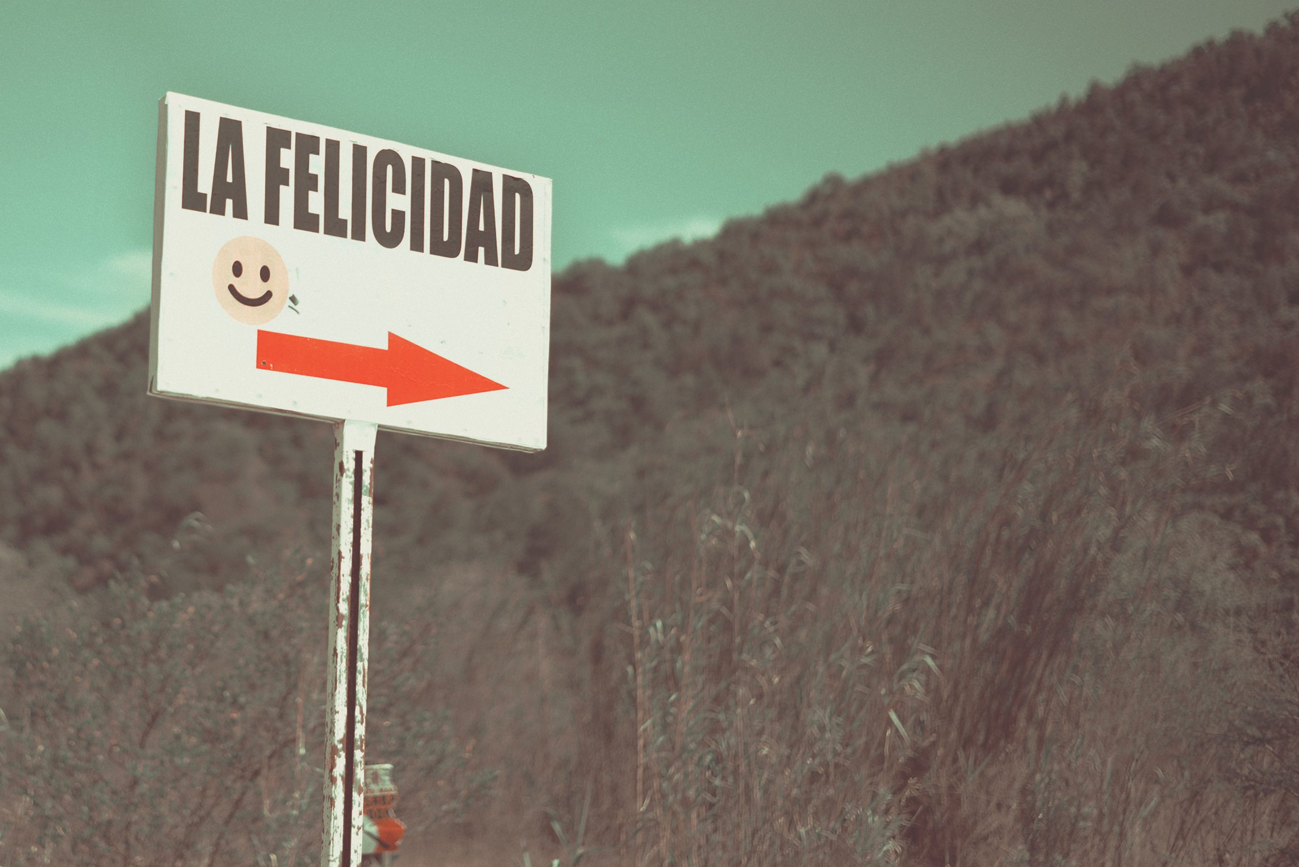Felicidad