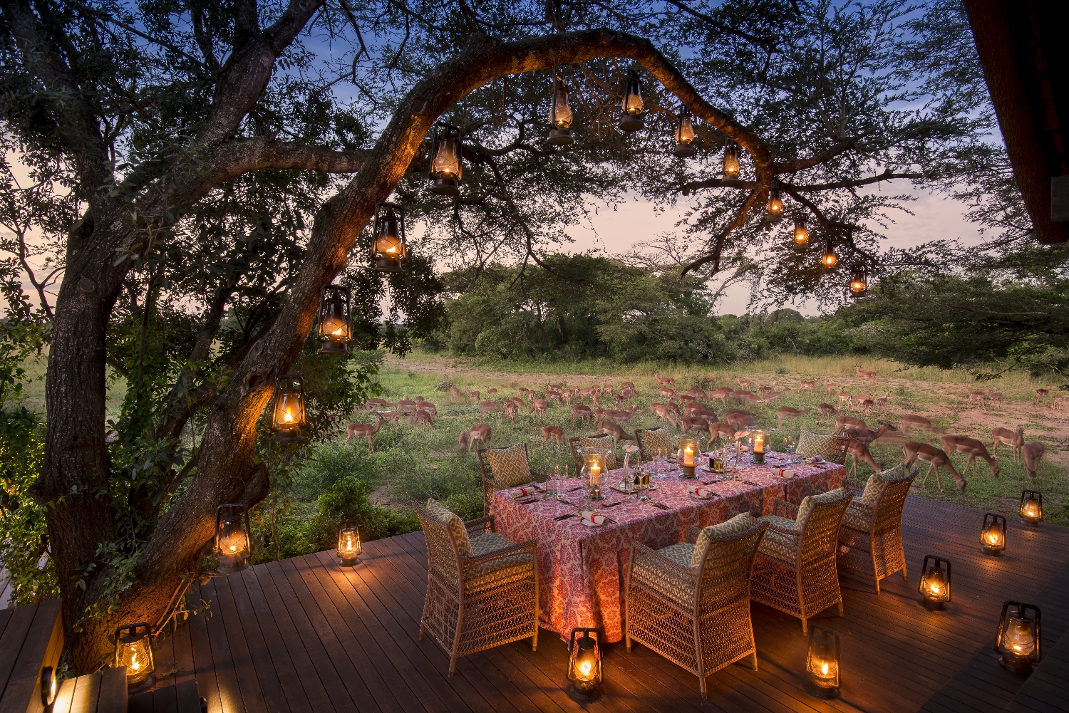 andBeyond Phinda Homestead