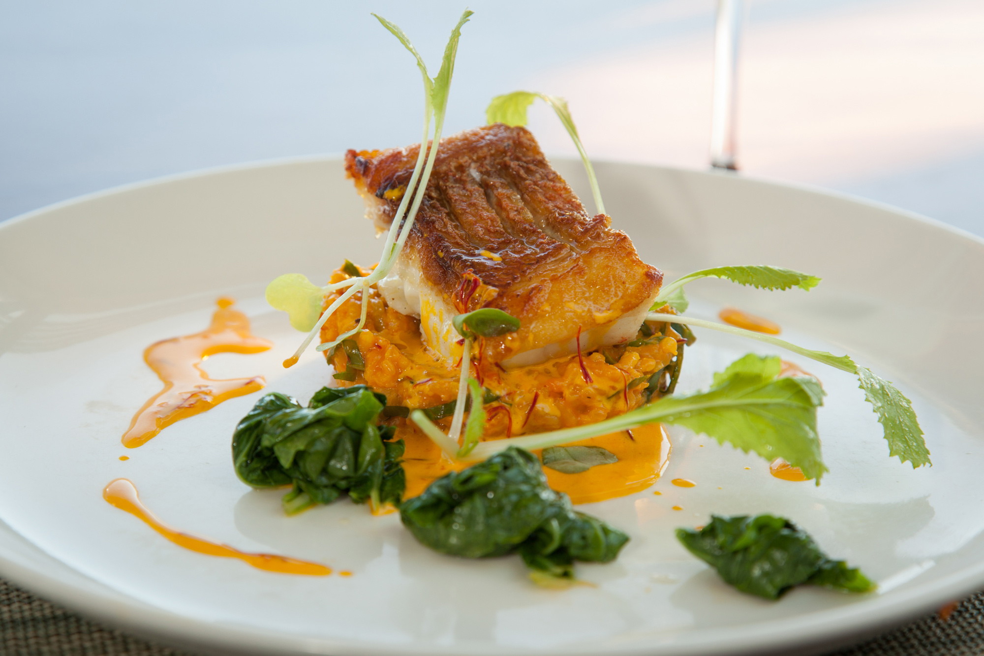 Experiencia culinaria
