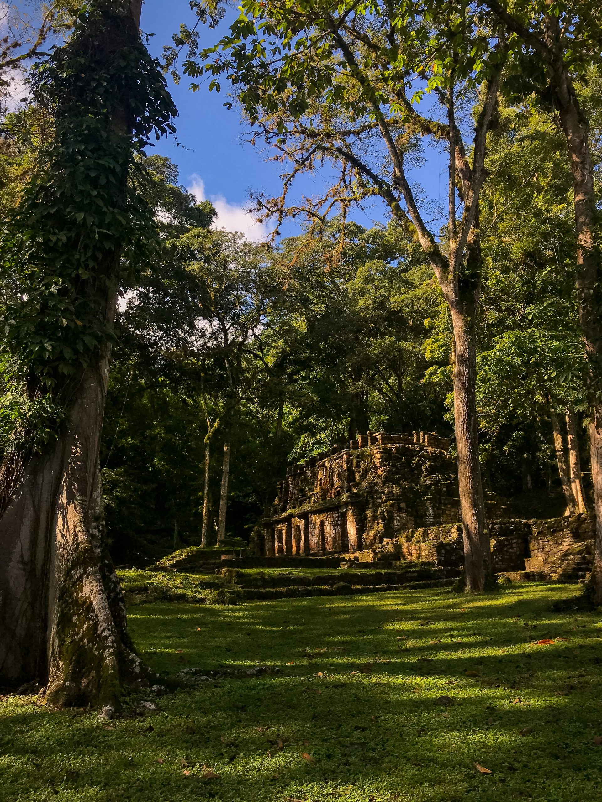 Yaxchilan, en M&eacute;xico