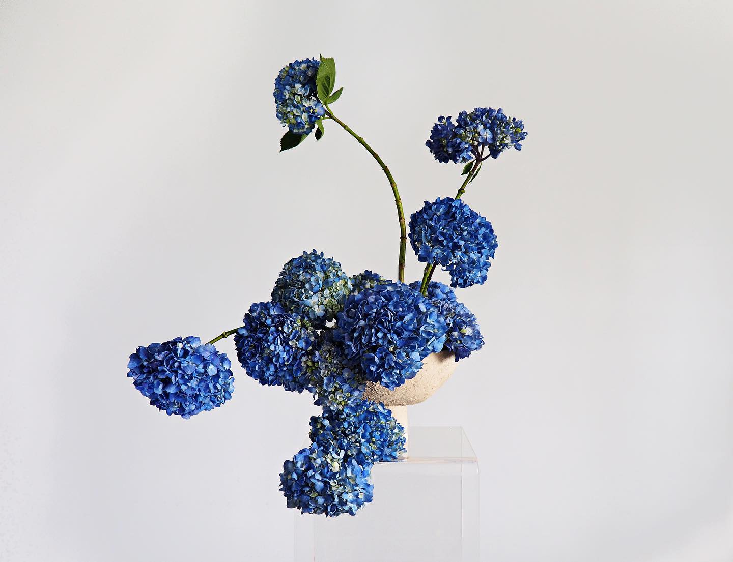 ramos de flores