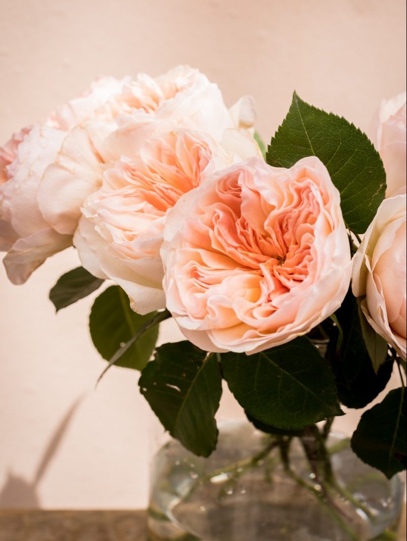 ramos de flores