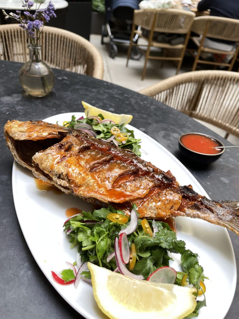 Pescado en Puntarena