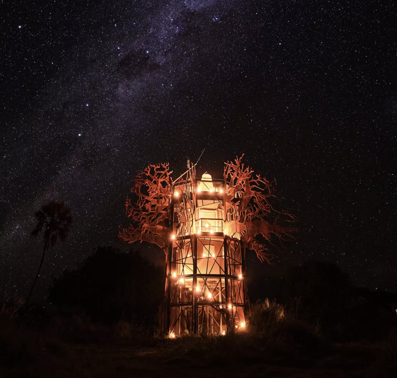 El &aacute;rbol de Xigera