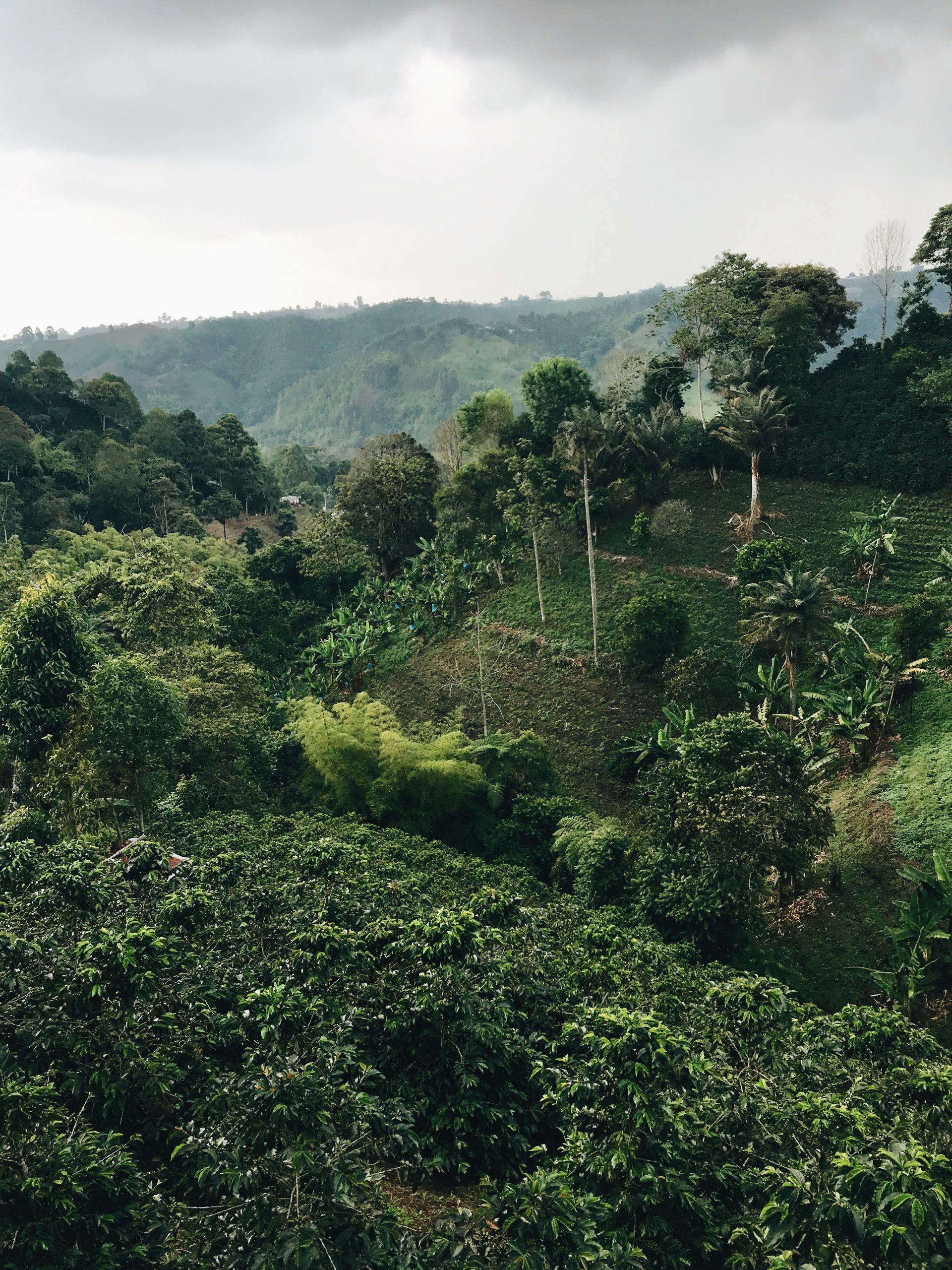 Colombia