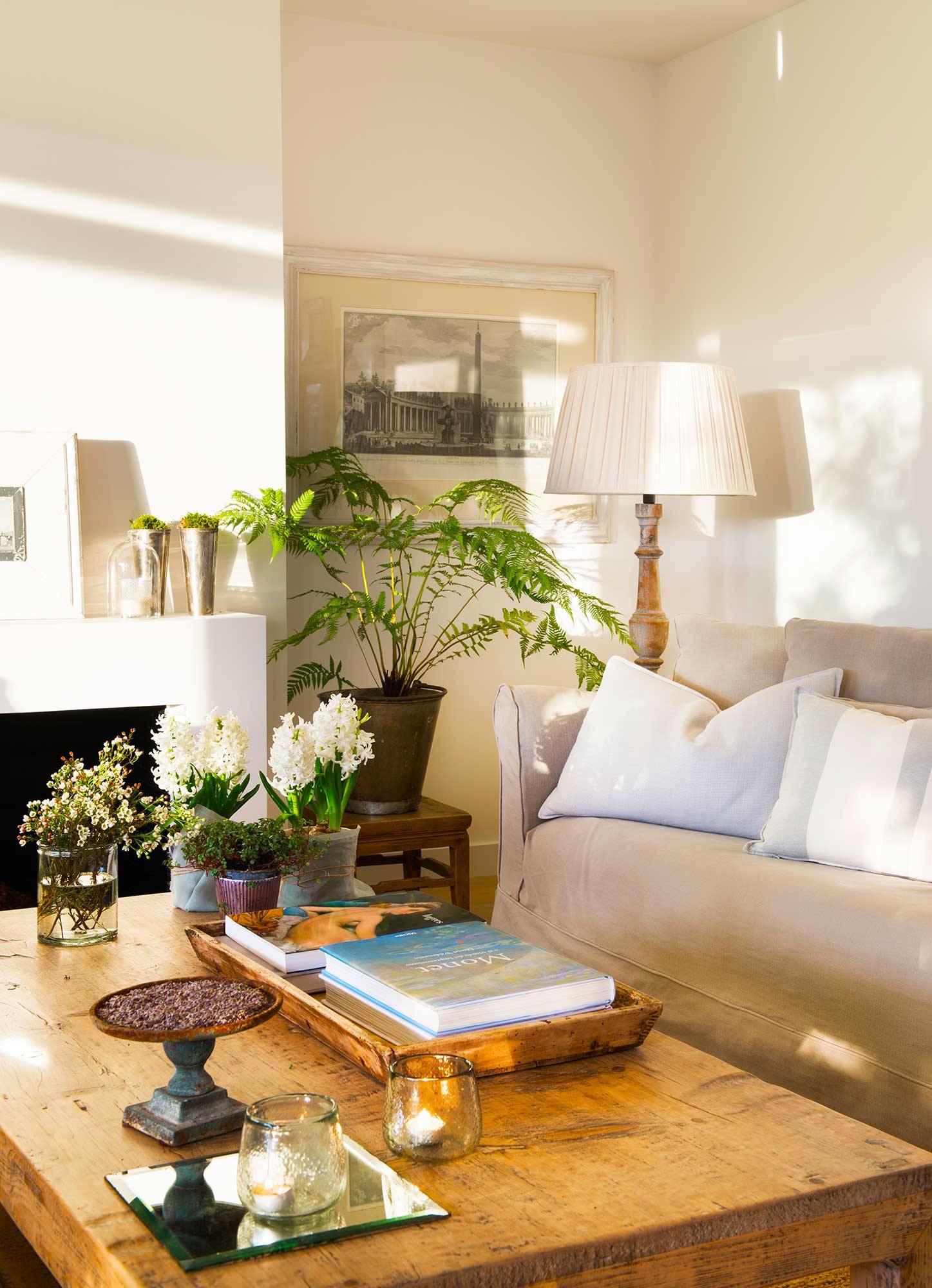 Planta de interior