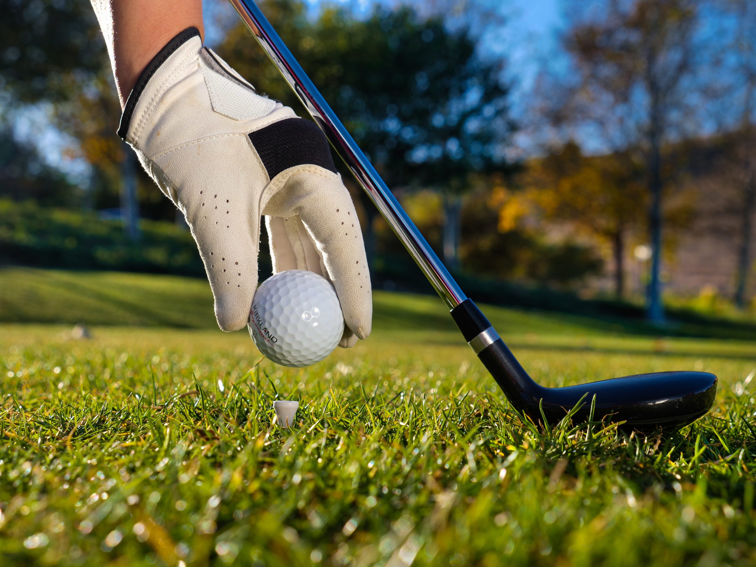 Adidas golf