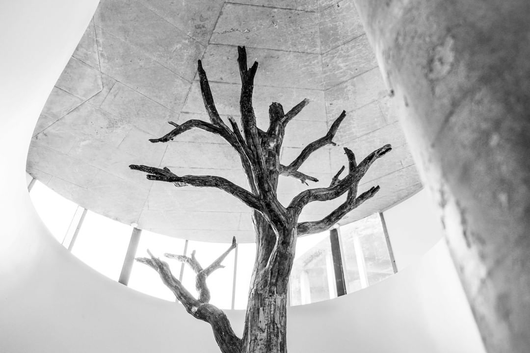 El &aacute;rbol de H.C. Andersens Hus