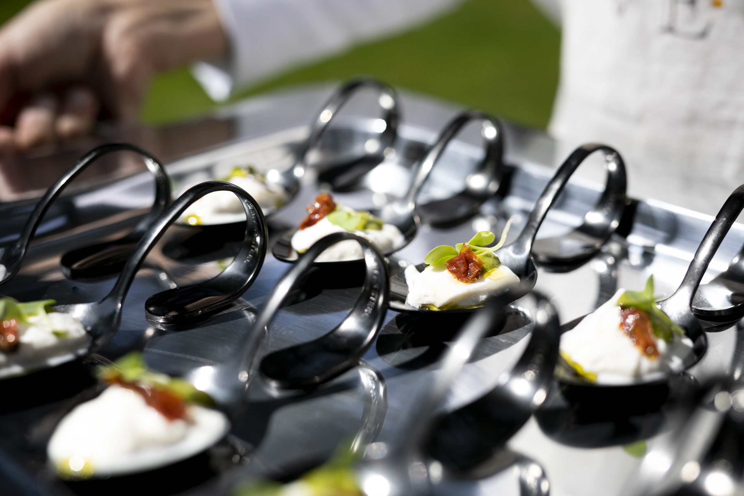 VE-GA catering