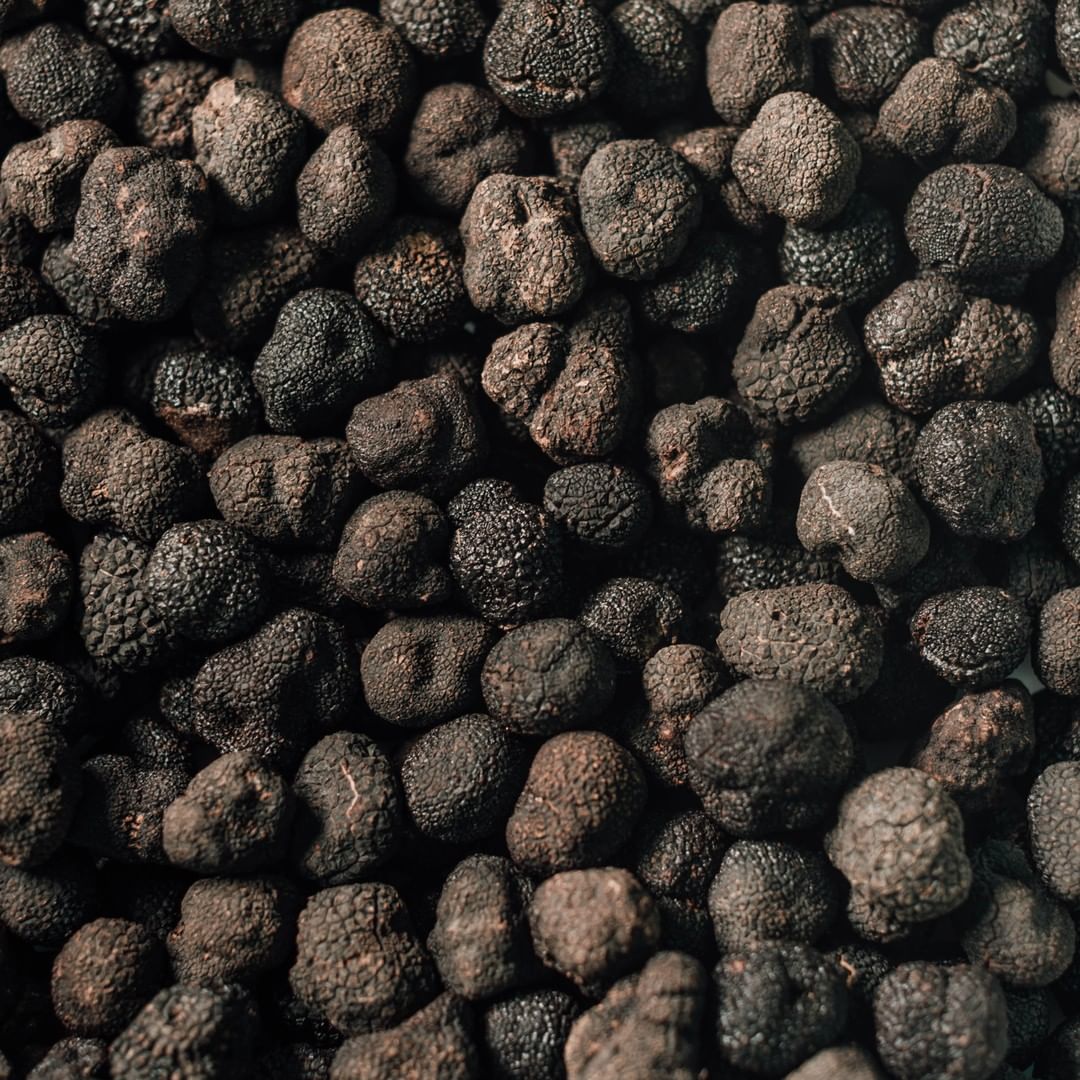 alimentos exquisitos
