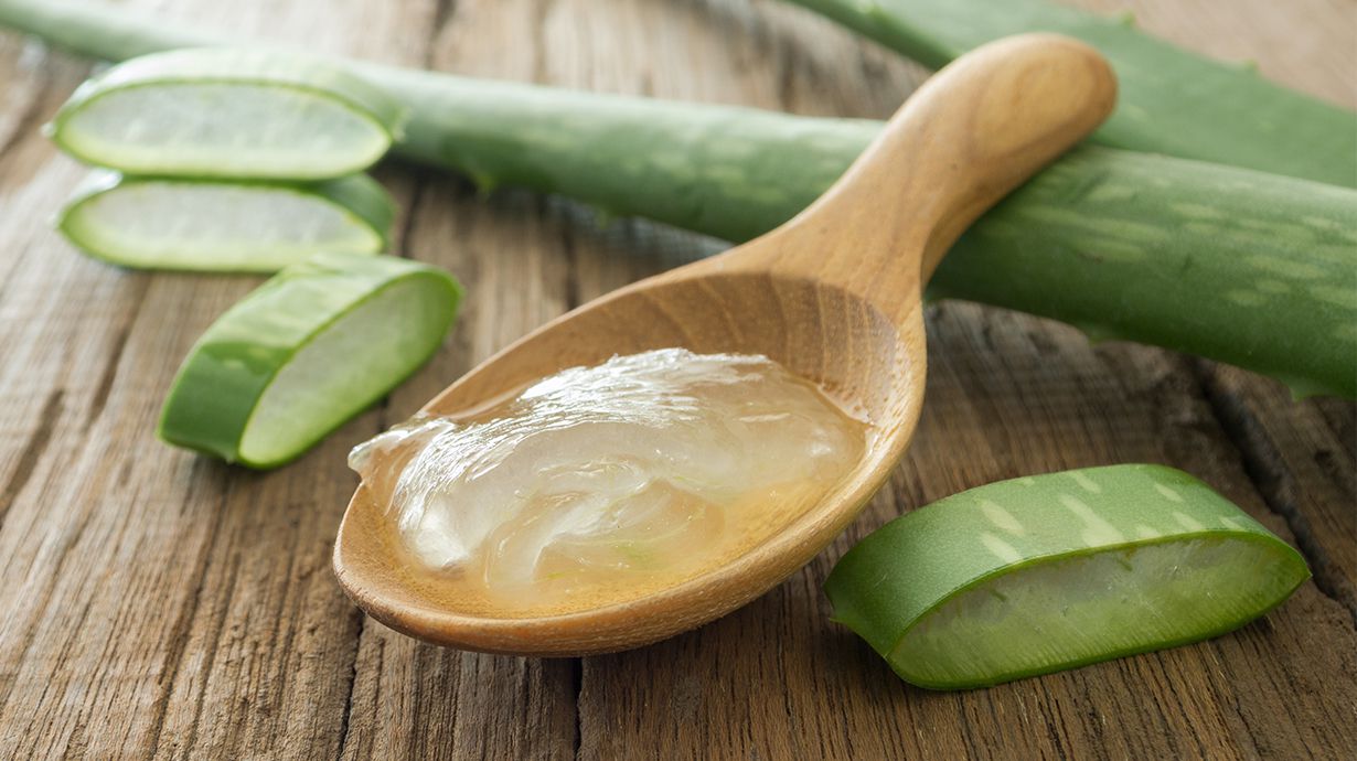Aloe vera