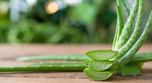 Foto: Hecho con Aloe Vera