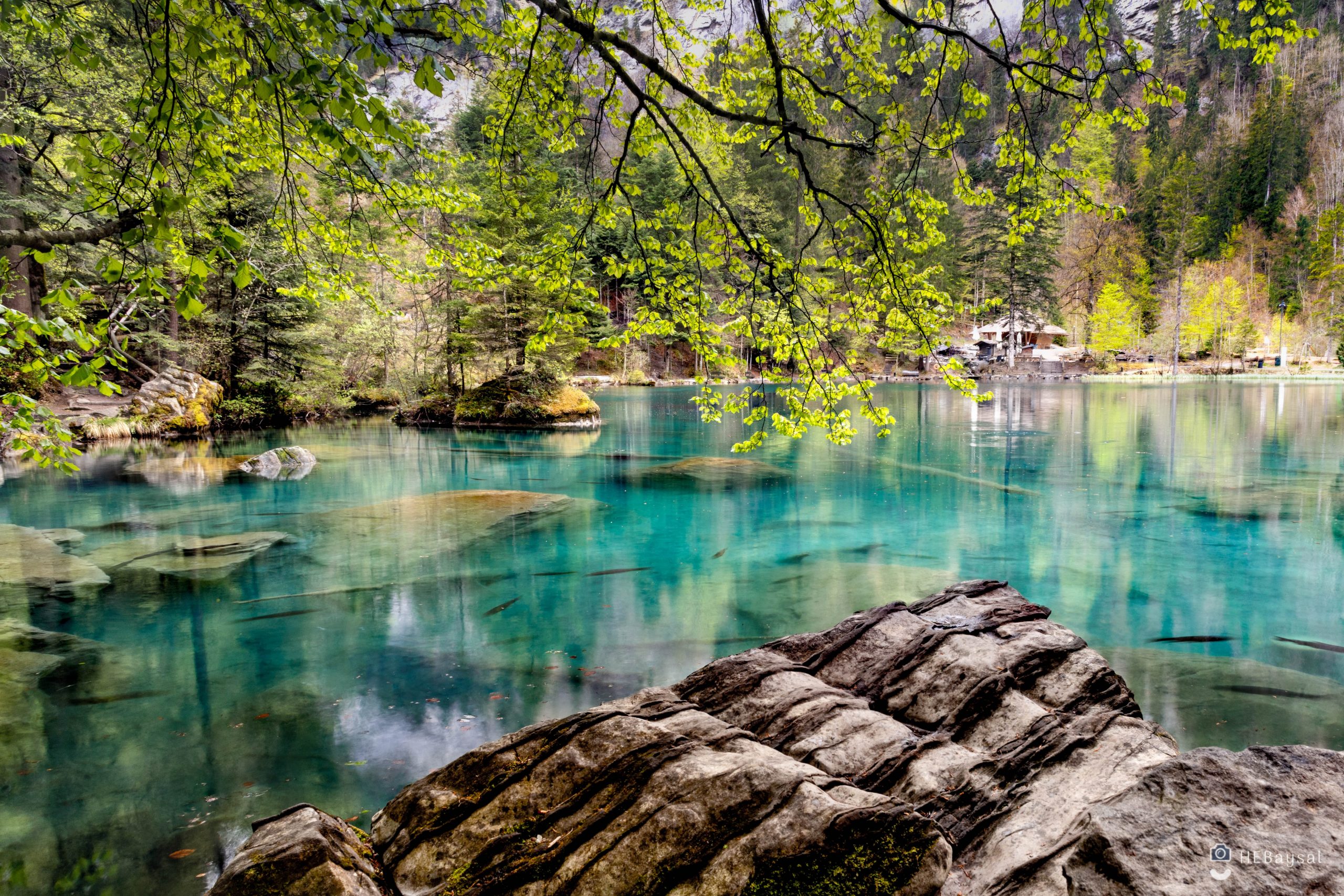 Suiza