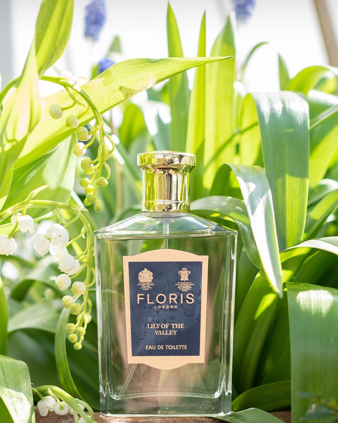Eau de Toilette Lily of the Valley de FLORIS