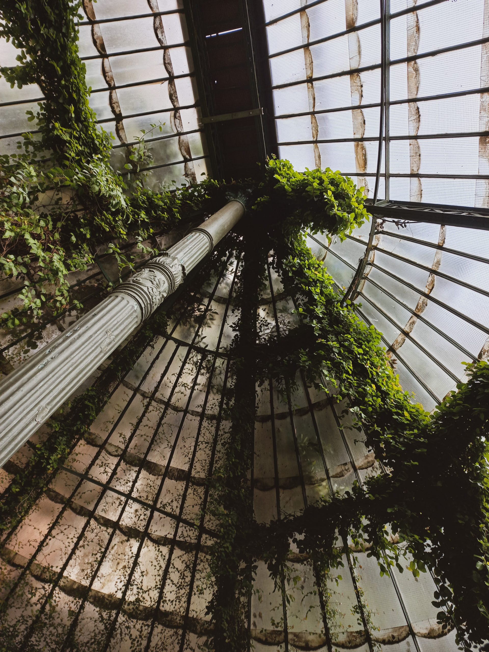 Uno de los rincones del Real Jard&iacute;n Bot&aacute;nico