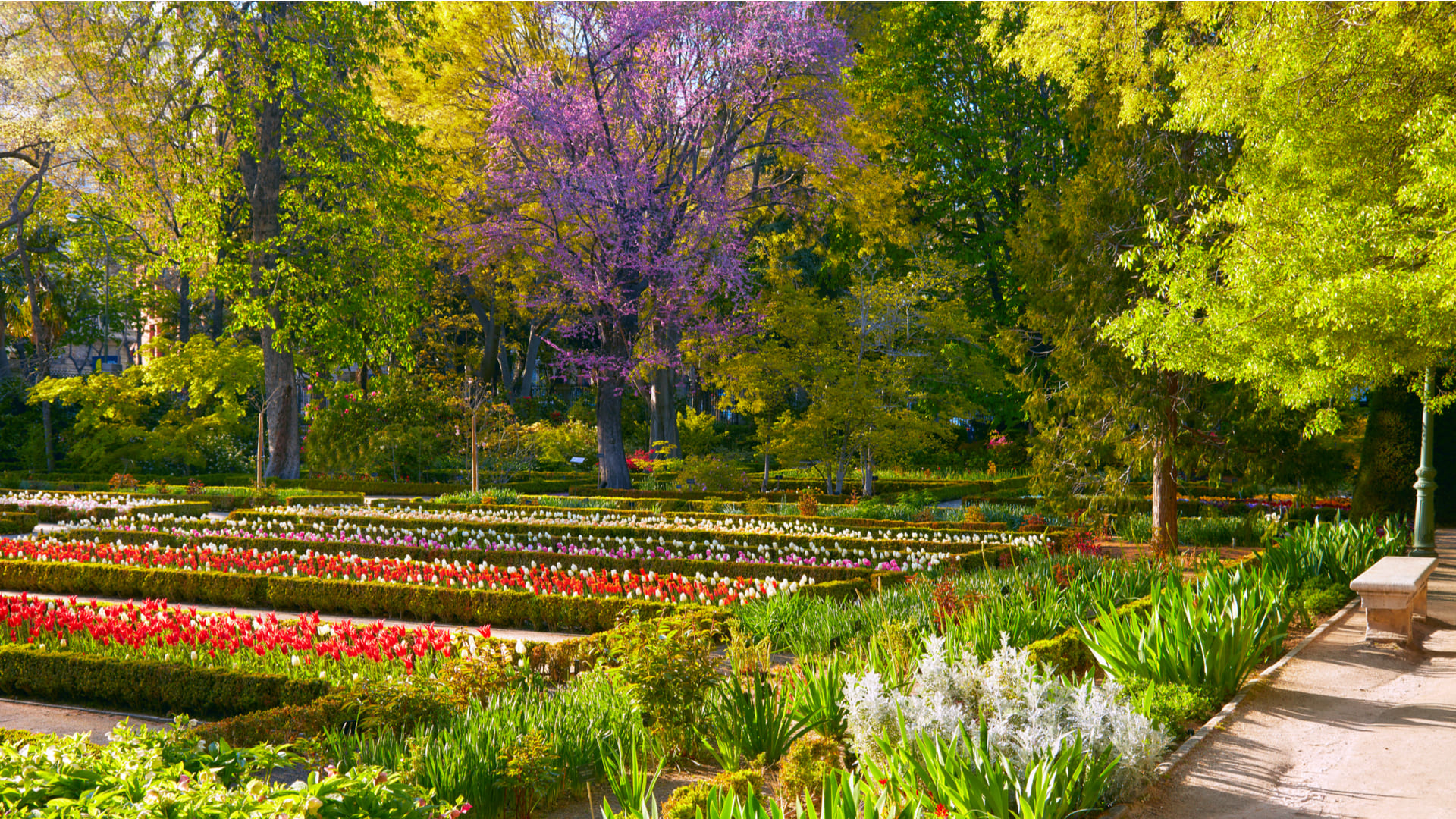 Real Jardín Botánico