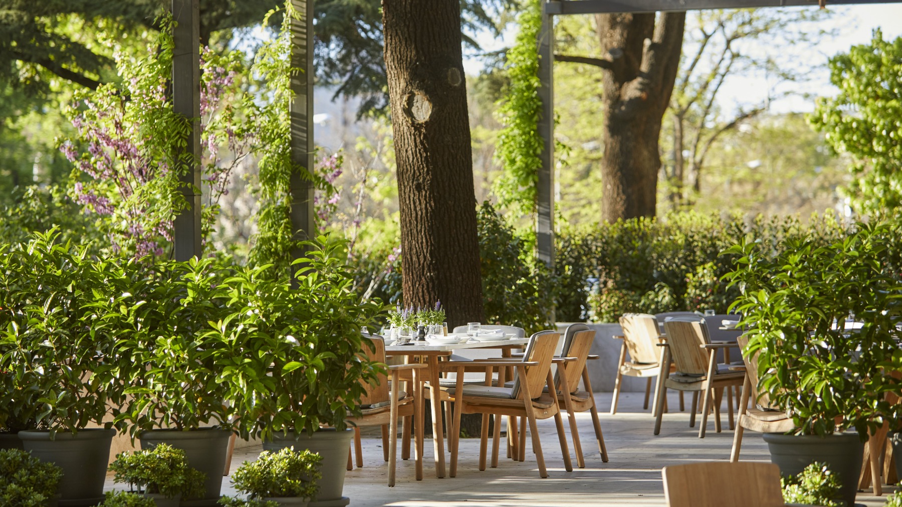 Terraza Rosewood Villa Magna