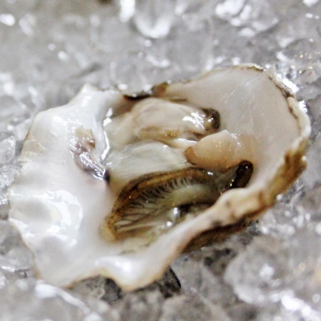 Ostra