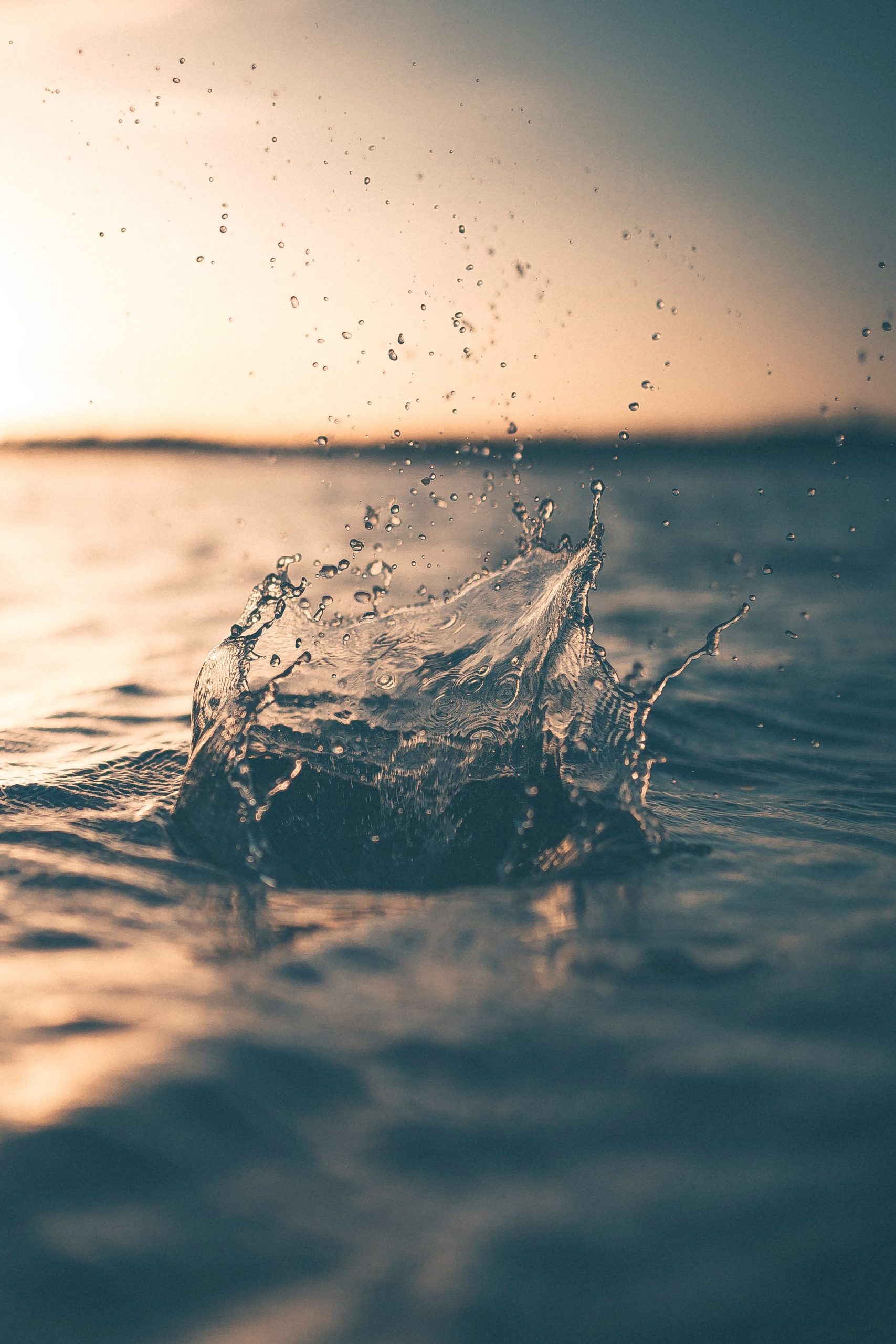 agua micelar