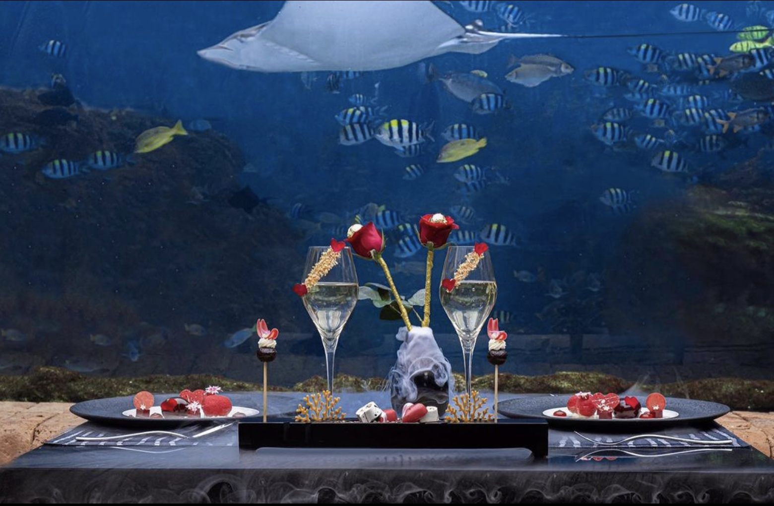 Restaurante acuario