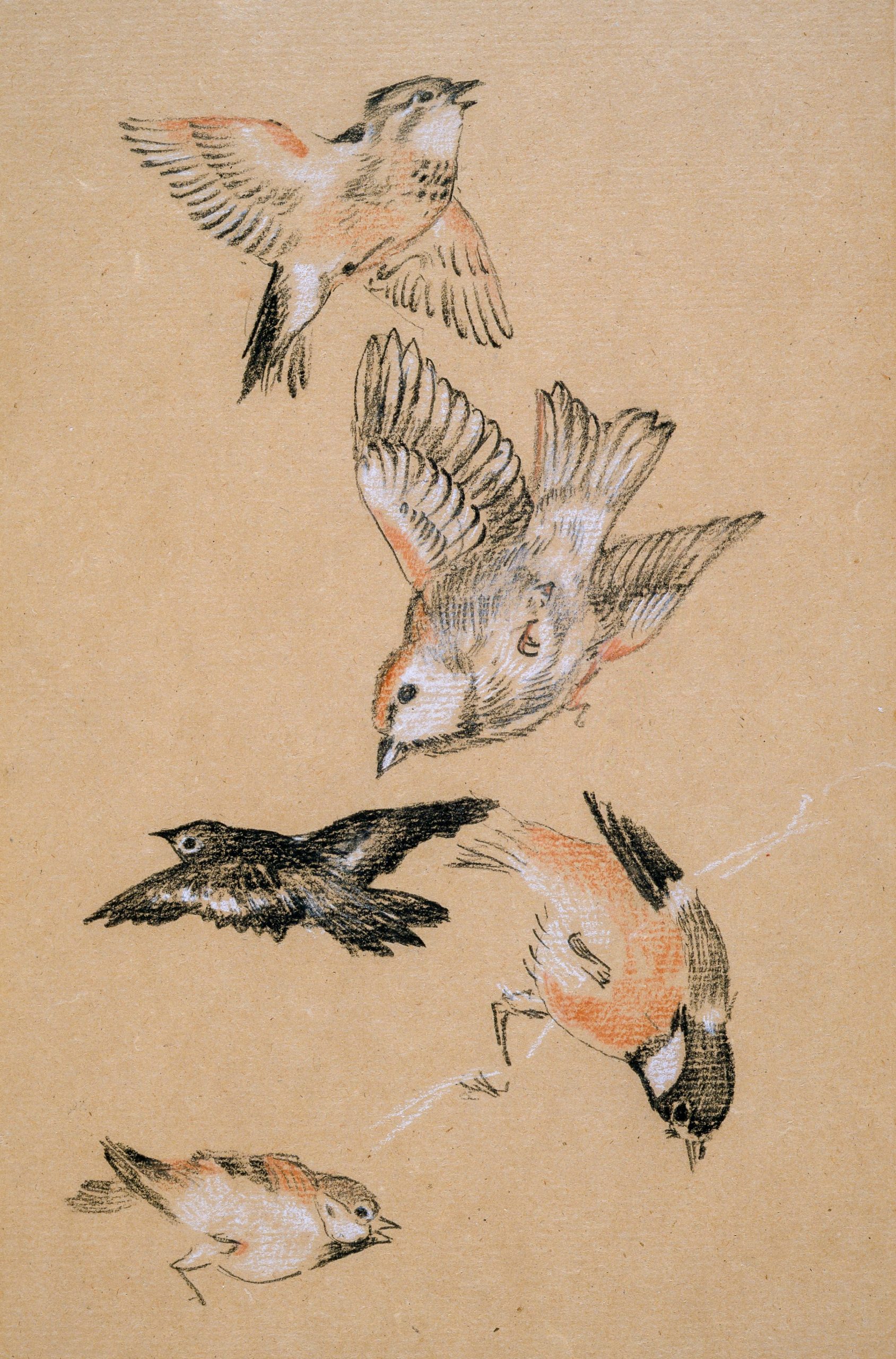 Dibujo de p&aacute;jaros
