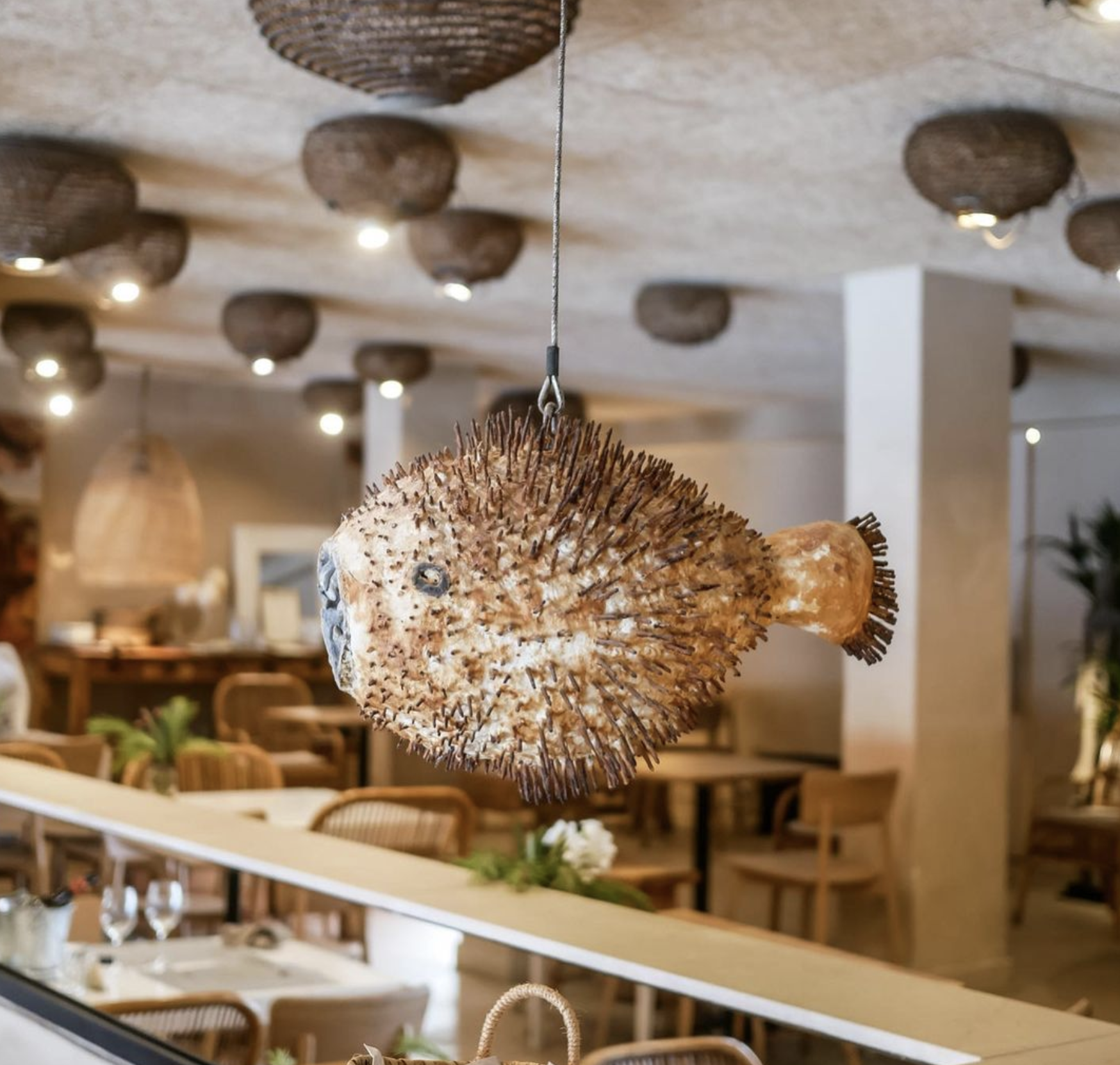Restaurante TRAGAmar
