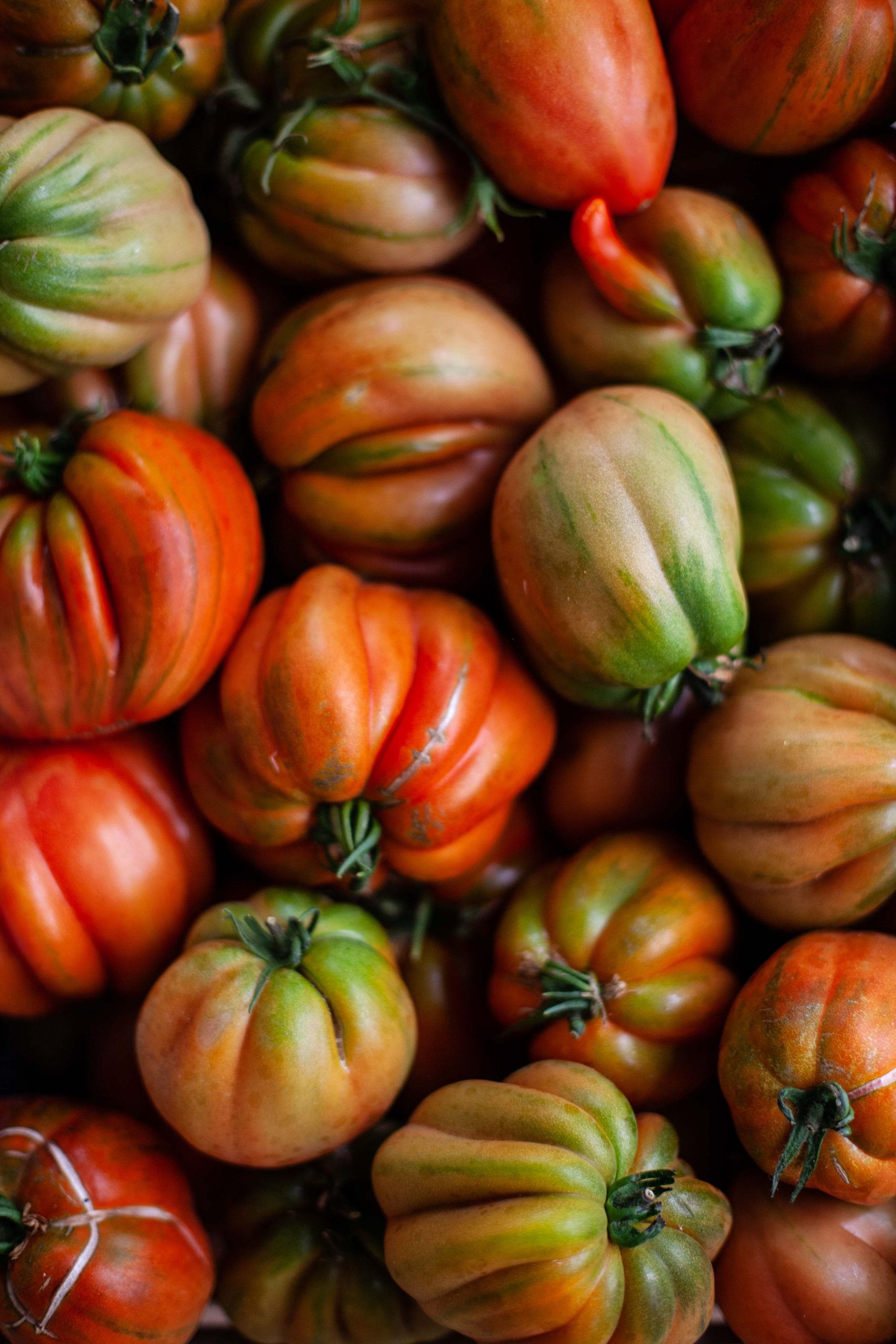 Tomates