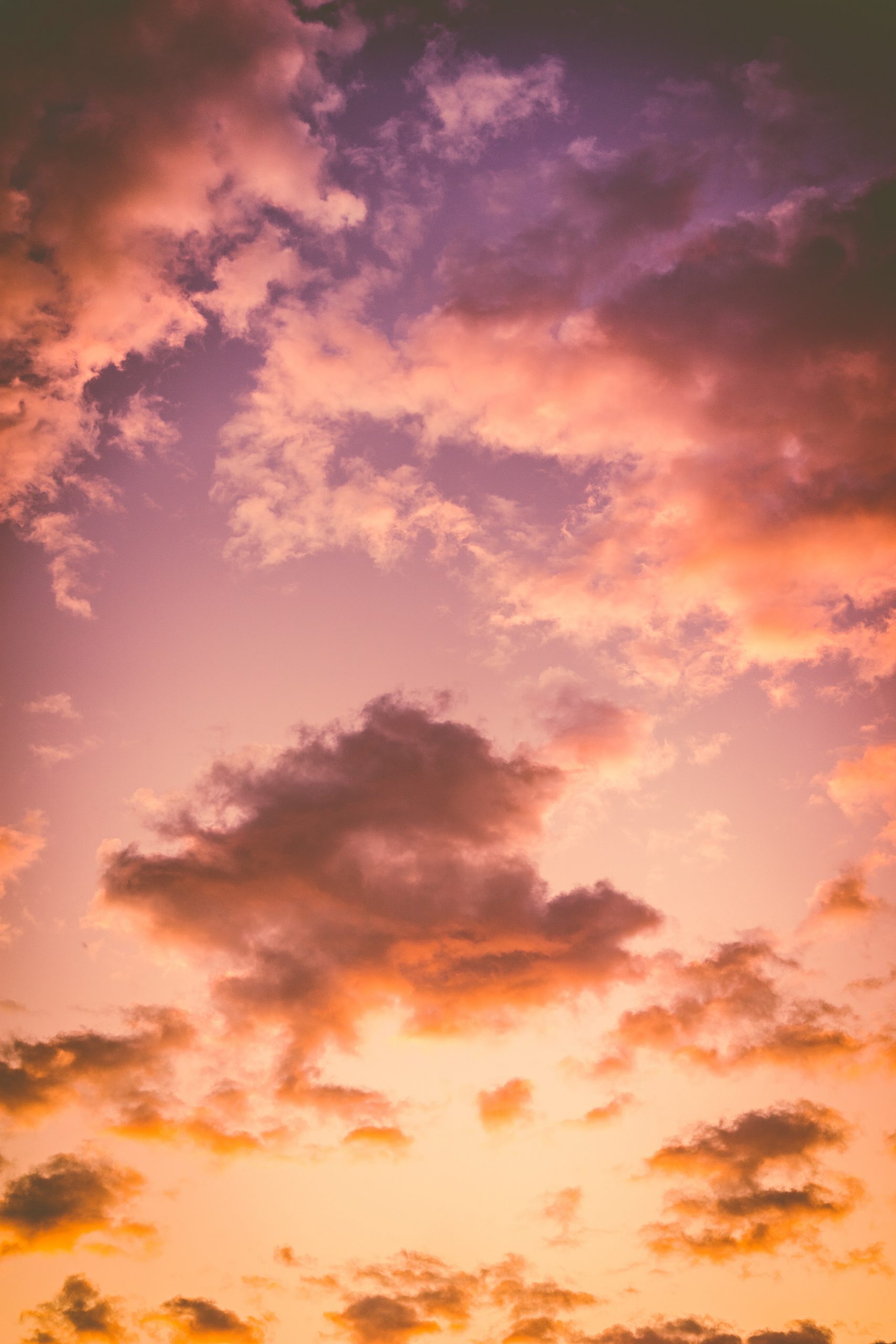 Cielo