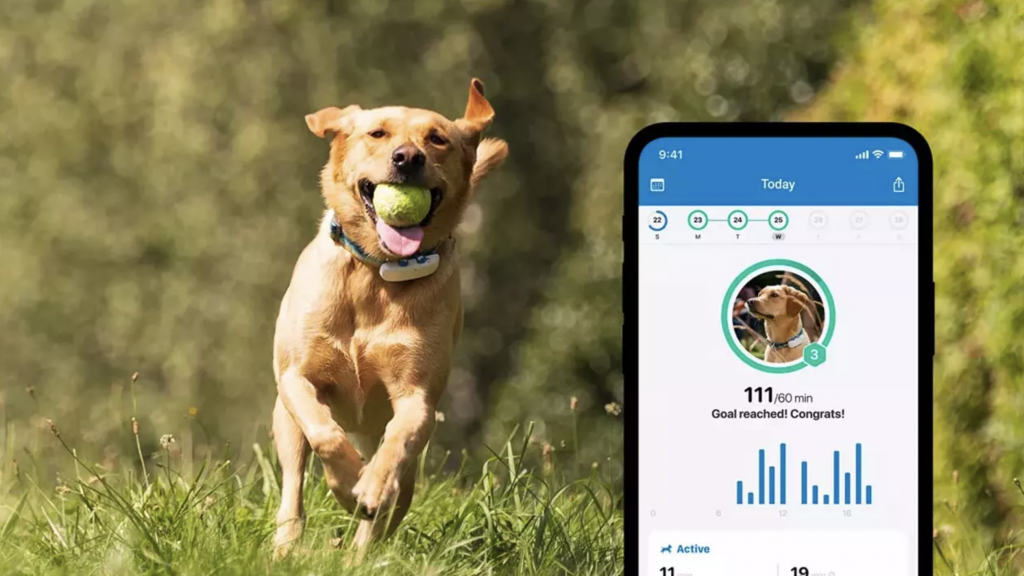 GPS para perros y gatos