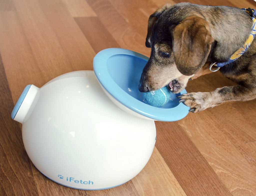 Dispensador de pelotas para perros