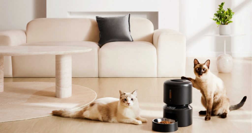 Dos gatitos con un comedero inteligente