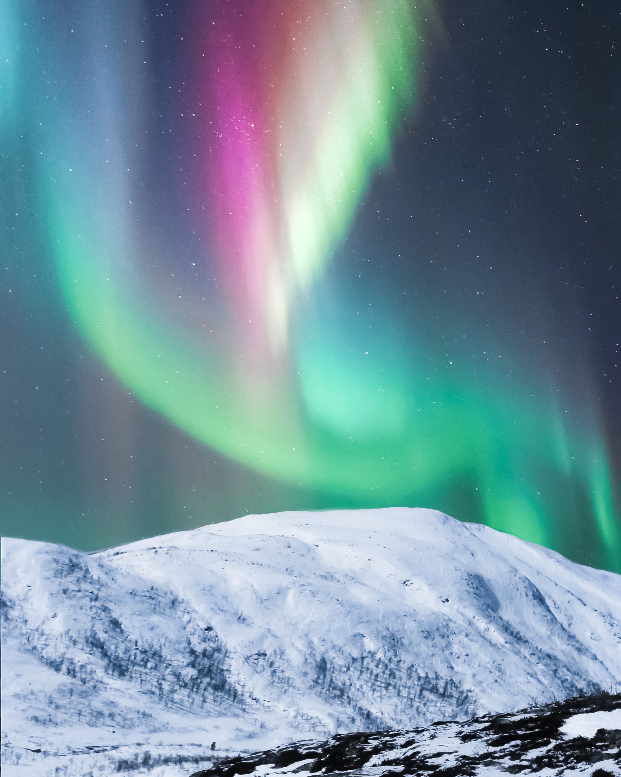 Aurora Boreal