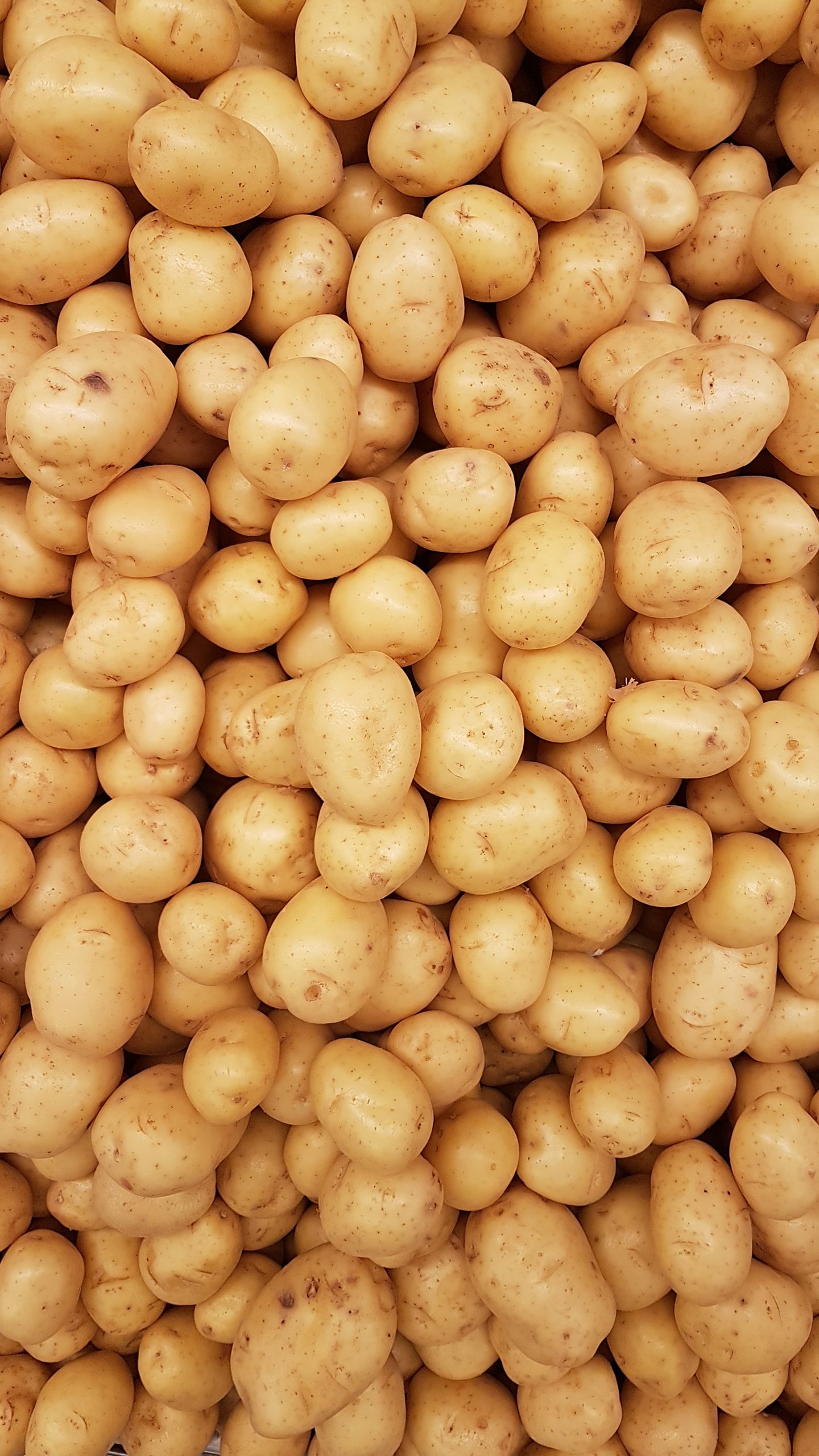 Patatas
