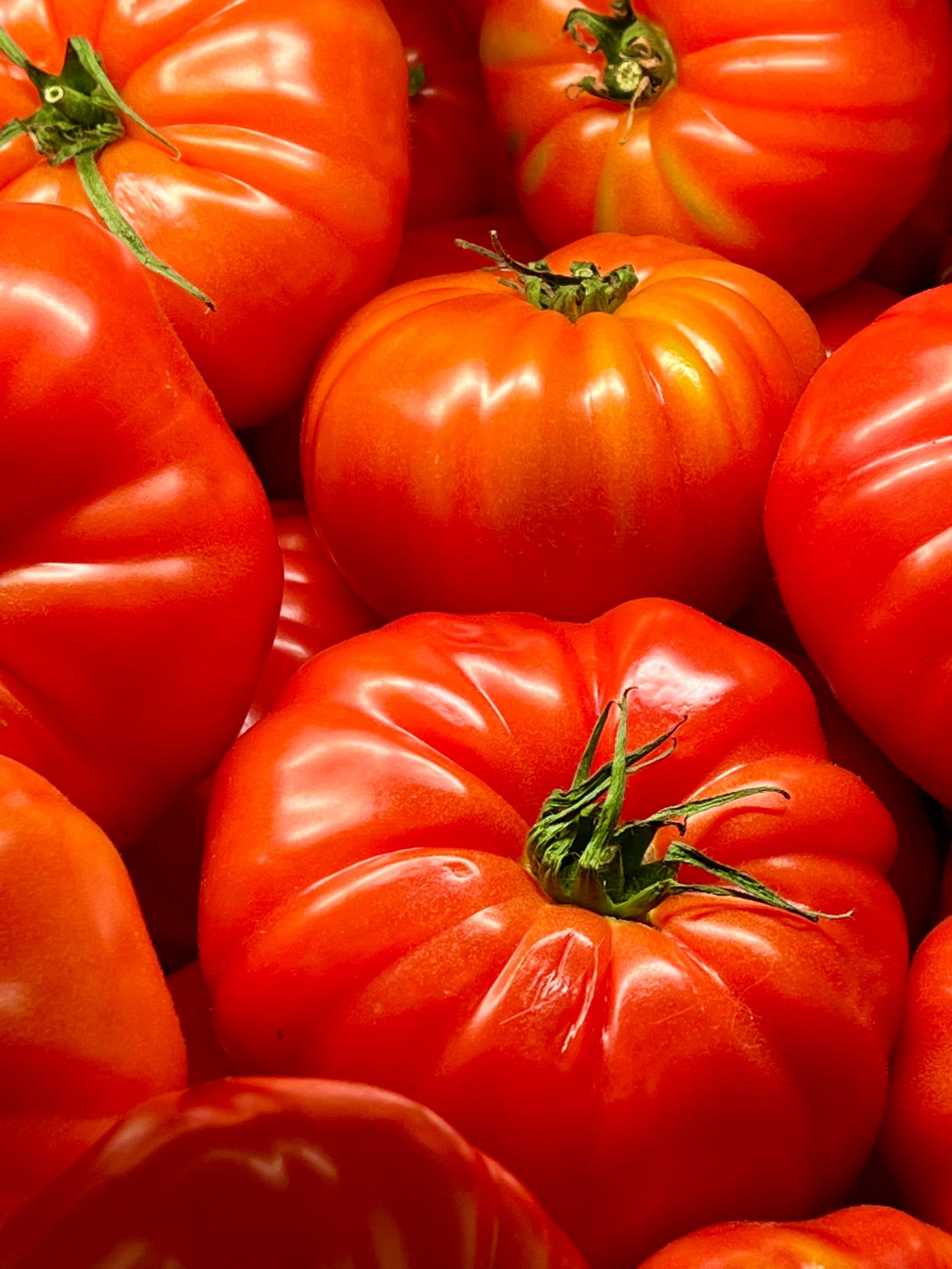 Tomates