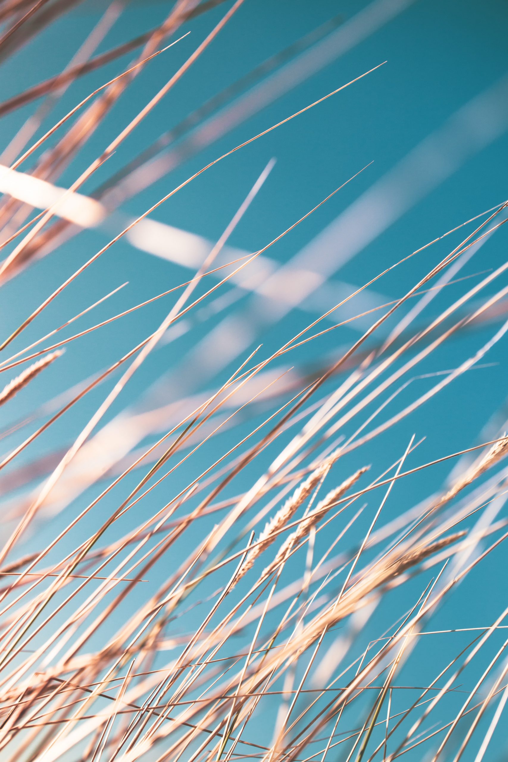 Wind