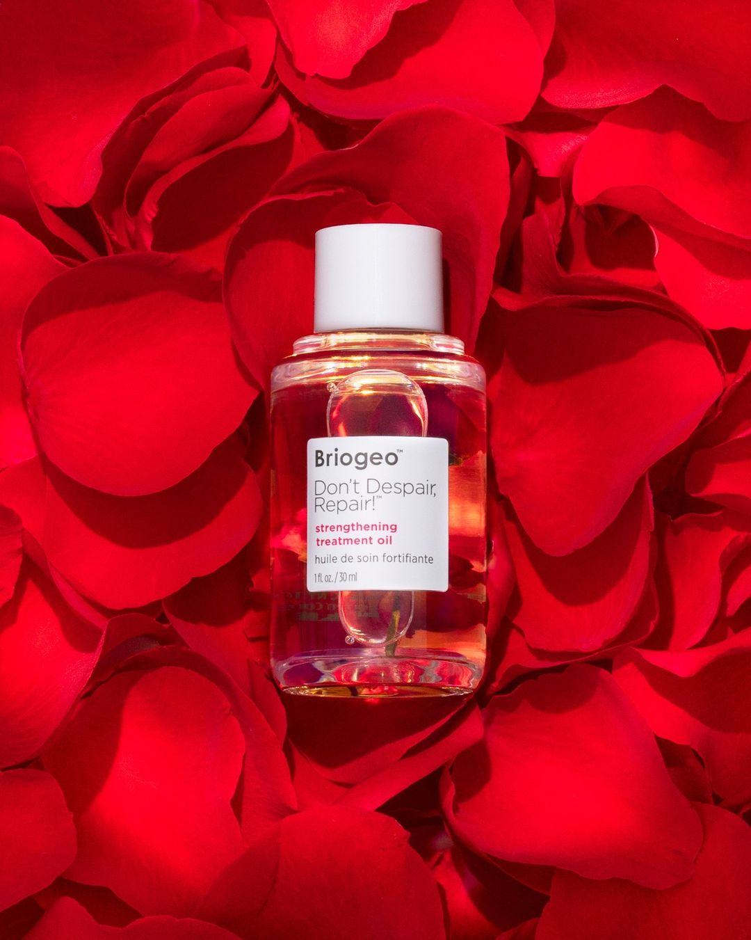 Don't Despair, Repair!, de Biogeo