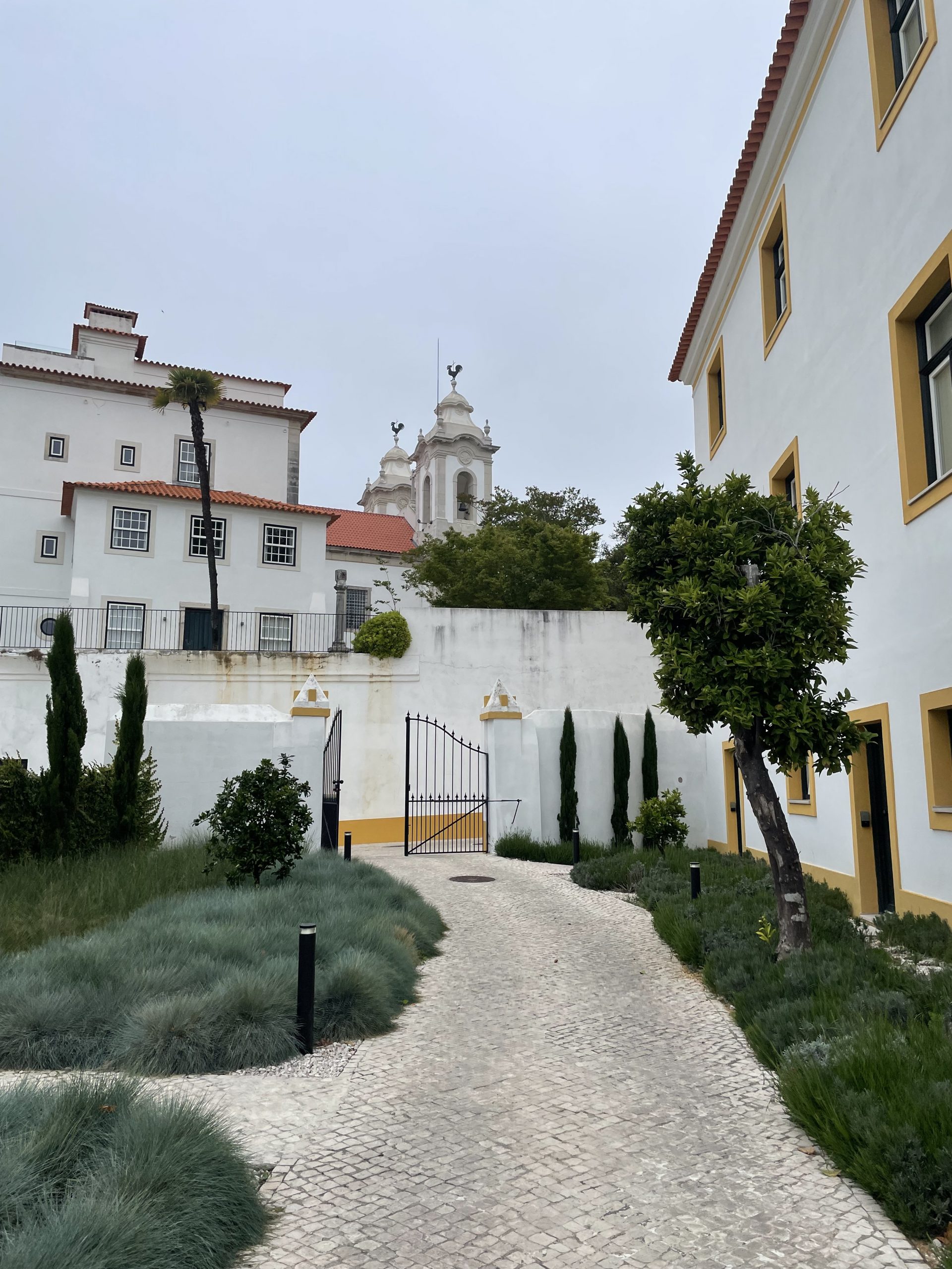 vista alegre