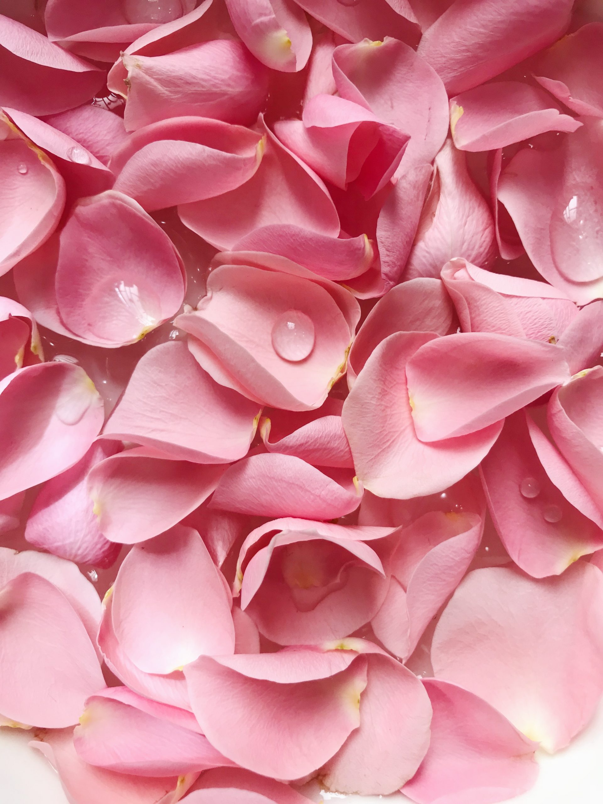 Baño de pétalos de rosa