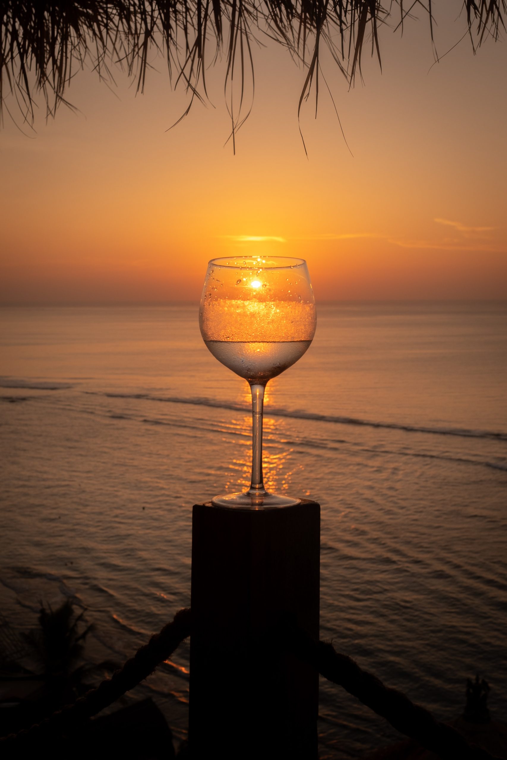 vinos verano